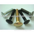 Mild steel DIN603 Carriage bolts